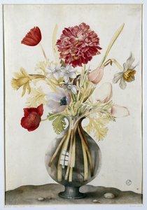 Vase de fleurs avec jonquilles, œillets et anémones